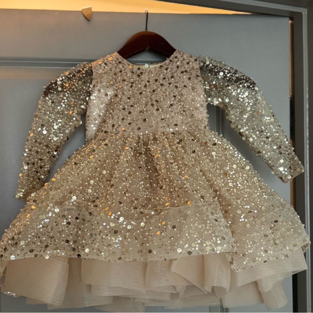Toddler Special Occassion dress. Like New Condition